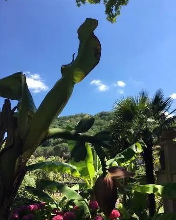 Waikiki Apartman